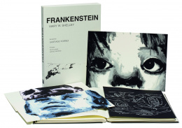 625.  SANTIAGO YDAÑEZ (Jaén, 1969)Frankenstein, 2006