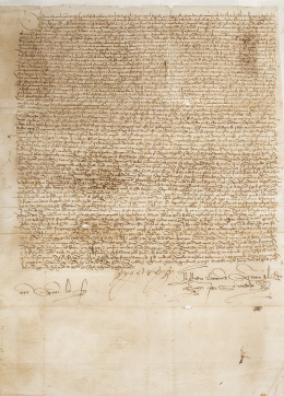 390.  Sobrecarta/Real Provisión. Fernando el Católico ordena al concejo de Alcalá de Guadaira (Sevilla) respetar el contenido de las dos cartas incorporadas. en las que se manda no prender a los caleros de Sevilla si sus bueyes entran en los olivares y huertas .