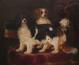 865.  ESCUELA INGLESA, SIGLO XX King Charles Spaniel