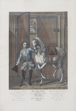 621.  JOHANN ELIAS RIDINGER (1698-1767)"Le Nouveau Menage", "Groupade à gauche", "Palottade à droite", "Le trot a droite sur le cercle large".