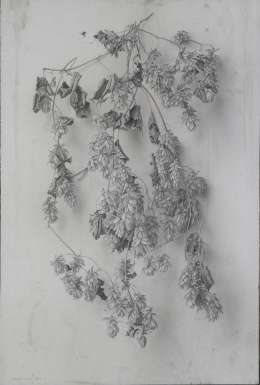 900.  GERARDO PITA (Madrid, 1950)Dried Hops II, 1993