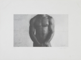 906.  CLAUDIO BRAVO (Valparaíso, Chile, 1936 - Taroudant, Marruecos, 2011)Torso