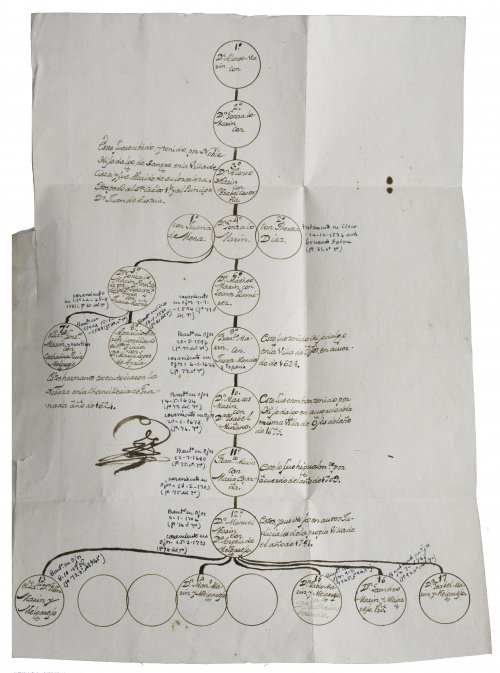 “Executoria de Hidalguia, Arbol Genealogico su justificacio